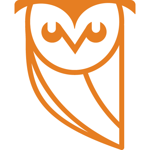 Tundra Software Technologies Owl Icon Favicon